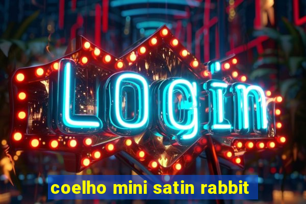 coelho mini satin rabbit